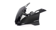  BMW S1000RR (2019- ) フロントフェアリング（フロントカウル）