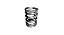  BMW R 80 Model Valve spring for all R2V-models