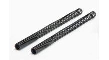  BMW R 80 Model Fork springset