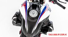  BMW R 1250 R カーボン センター タンク パネル