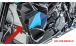 BMW S 1000 XR (2020- ) ウィングレット穴付きウォータークーラーフェアリングのカーボンカバー