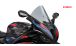 BMW S1000RR (2019- ) フロントガラスR-Racer