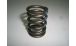 BMW R 100 Model Valve spring for all R2V-models