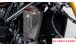 BMW R12nineT, R12, R12S & R12G/S カーボンオイルクーラーカバー