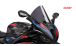 BMW S1000RR (2019- ) フロントガラスR-Racer