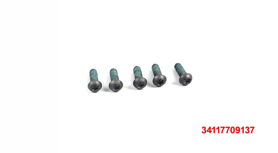 BMW F650GS (08-12), F700GS & F800GS (08-18) ネジセット（ M6x18-8.8-MK、5個入り）