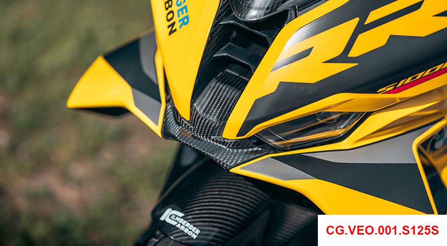 BMW S1000RR (2019- ) エアインテーク