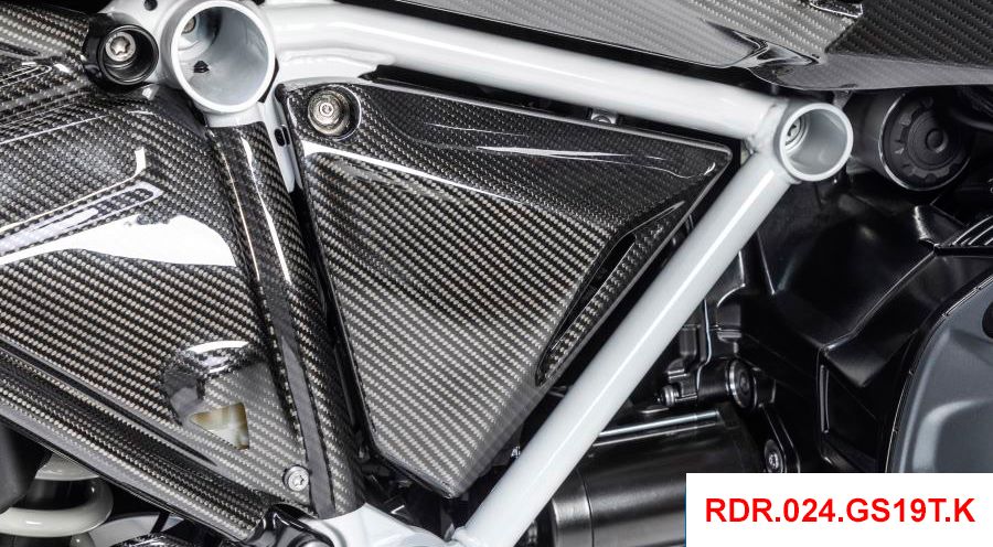 BMW R 1250 R カーボン フレーム トライアングルカバー(右)