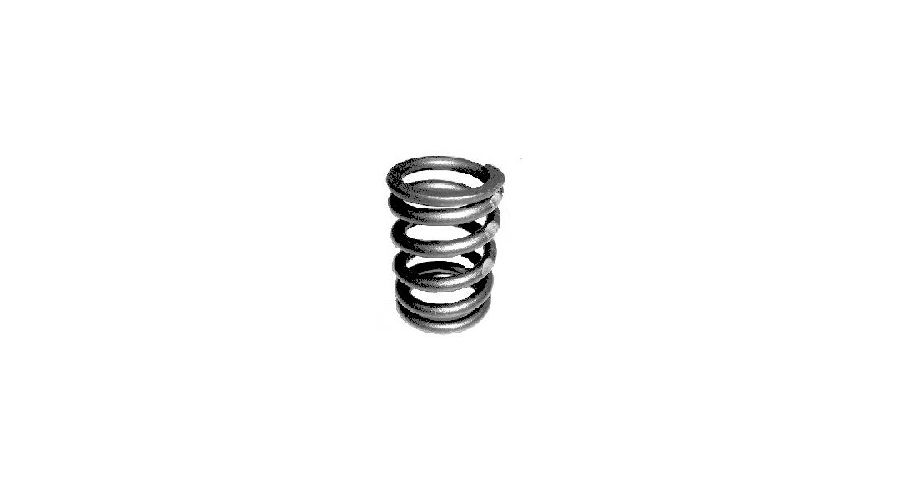 BMW R 100 Model Valve spring for all R2V-models