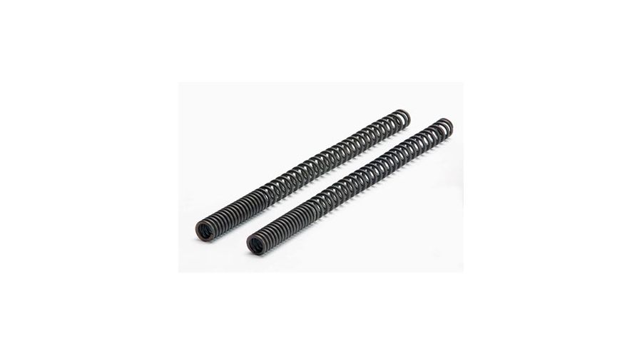 BMW R 80 Model Fork springset