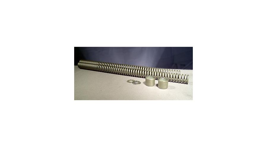 BMW R 100 Model Fork springset