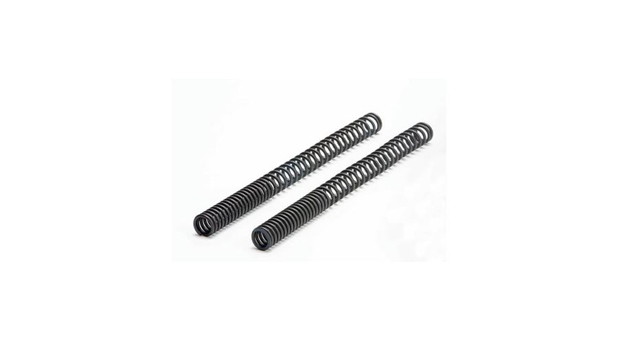 BMW R 100 Model Fork springset
